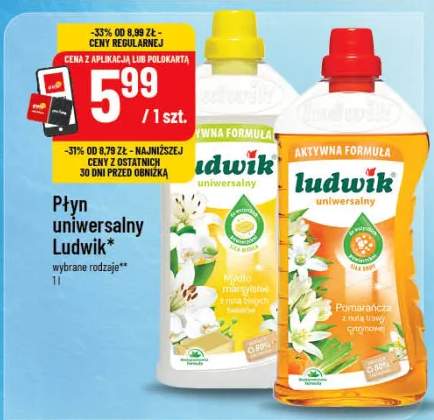 Płyn uniwersalny Ludwik