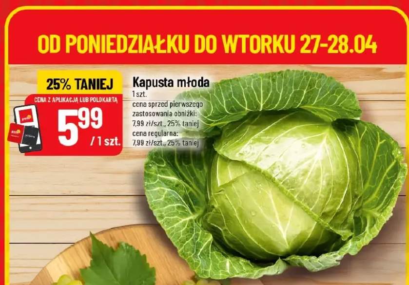 Kapusta młoda
