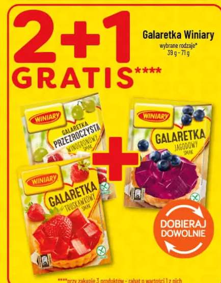 Galaretka Winiary jagodowa