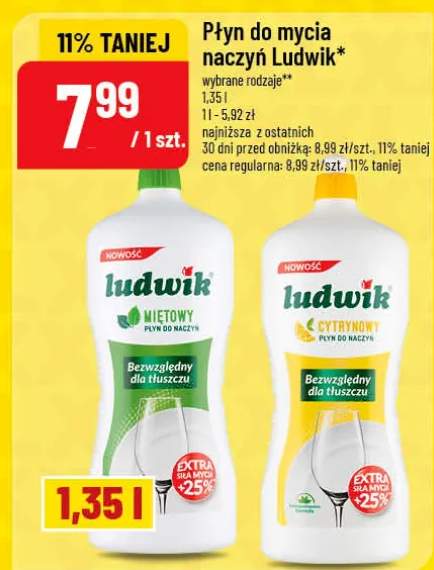 Płyn do mycia naczyń Ludwik miętowy