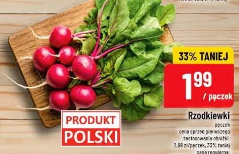 Rzodkiewki polskie