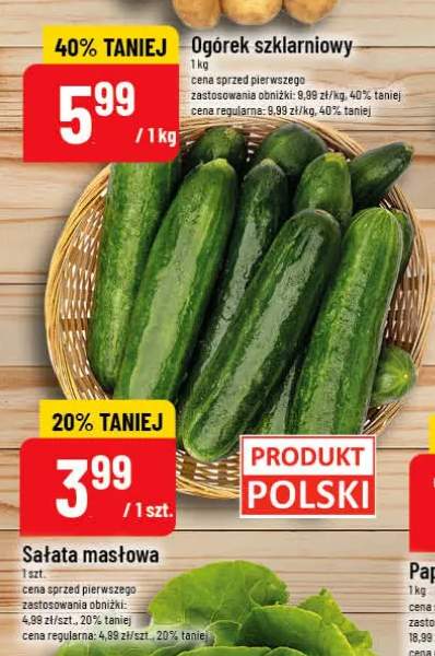 Sałata masłowa polska