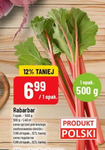 Rabarbar polski