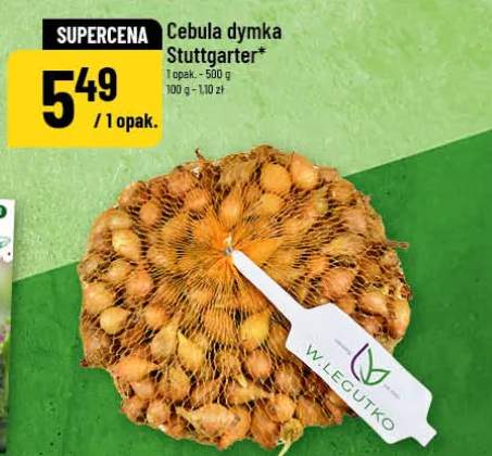 Cebula dymka Stuttgarter W.Legutko