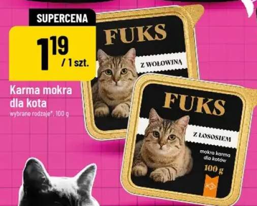 Karma mokra dla kota Fuks z łososiem