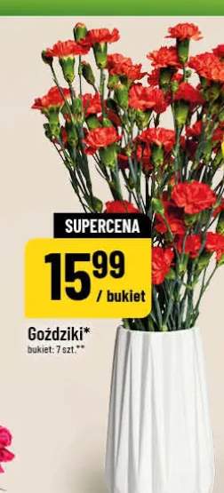 Goździki bukiet 7szt