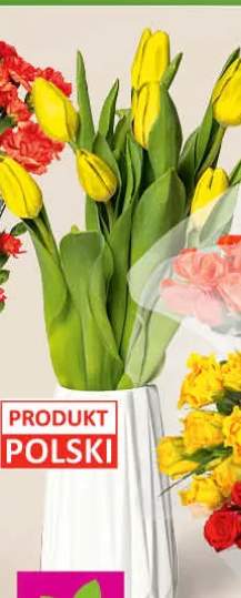 Tulipany bukiet 7szt