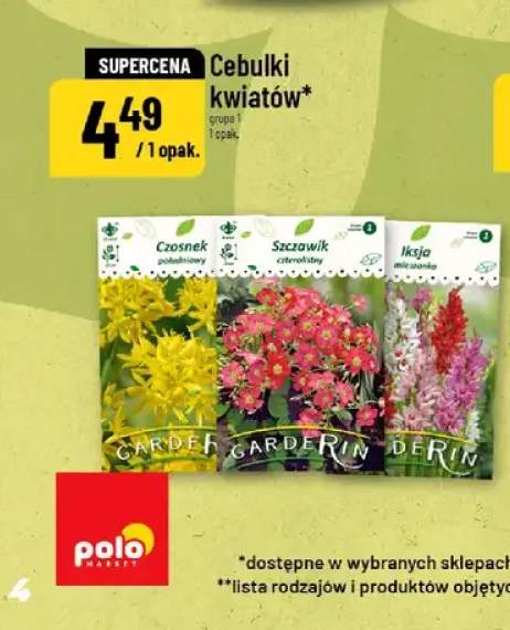 Cebulki kwiatów Garderin