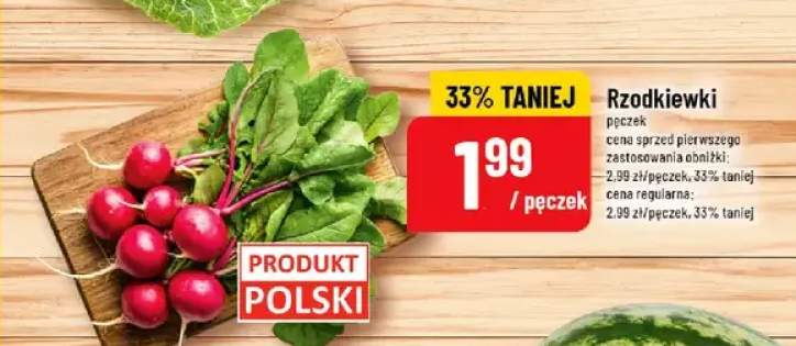 Rzodkiewki polskie