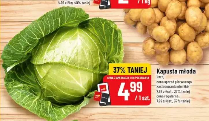 Kapusta młoda