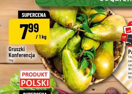 Gruszki Konferencja