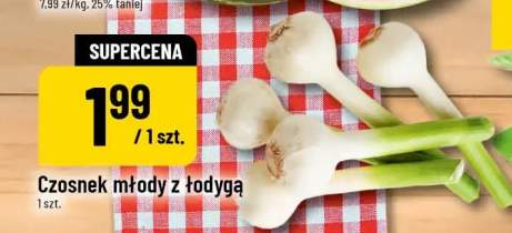 Czosnek młody z łodygą