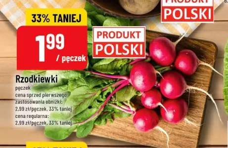 Rzodkiewki polskie