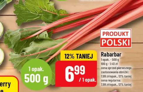 Rabarbar polski