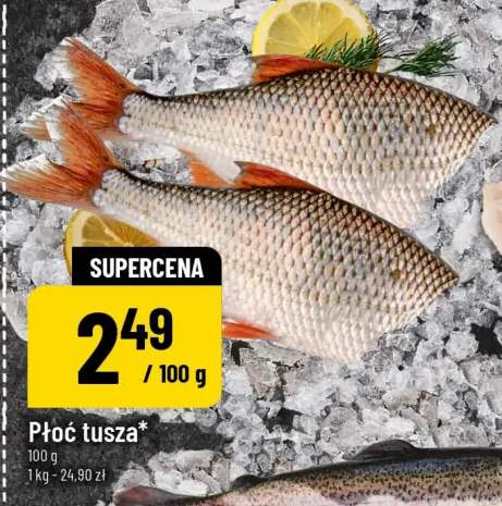 Płoć tusza