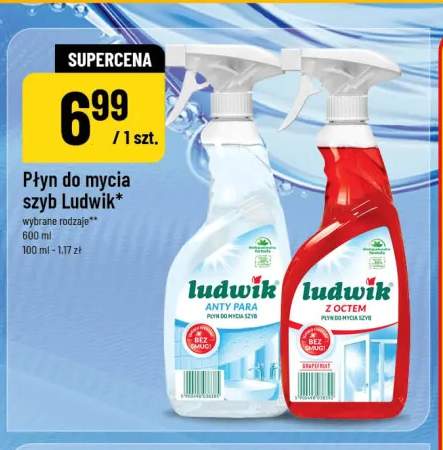 Płyn do mycia szyb Ludwik Anty Para