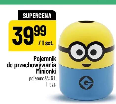 Pojemnik do przechowywania Minionki 6l