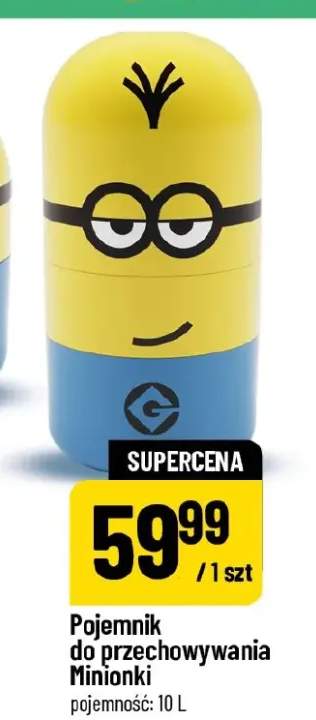 Pojemnik do przechowywania Minionki 10l