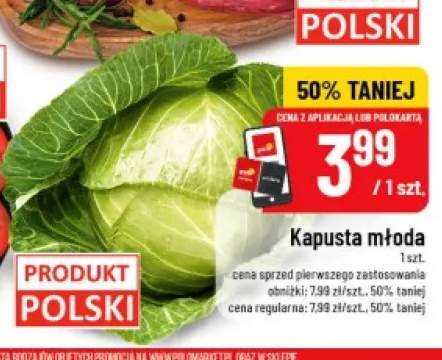 Kapusta młoda polska