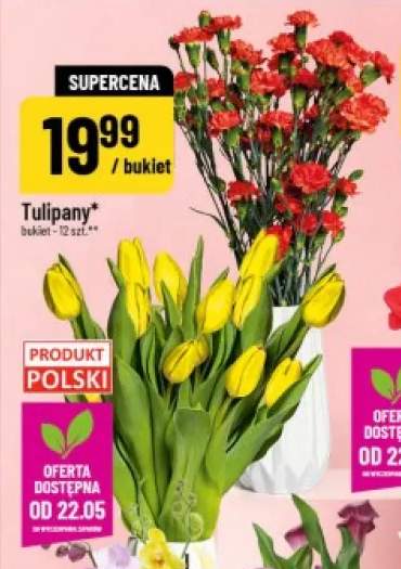 Tulipany bukiet 12szt.