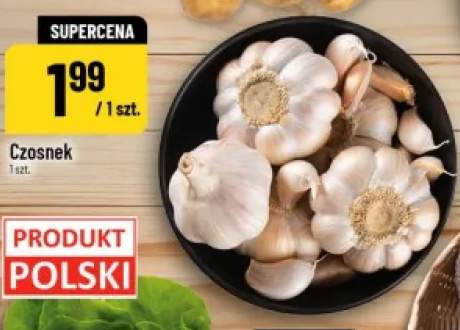 Czosnek