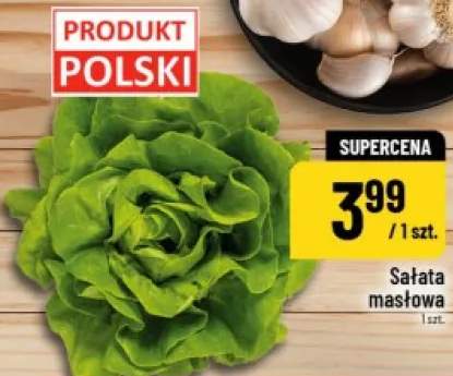 Sałata masłowa