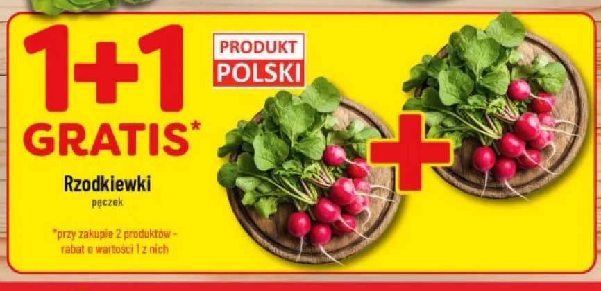 Rzodkiewki pęczek