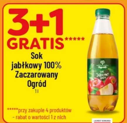 Sok jabłkowy 100% Zaczarowany Ogród