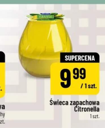 Świeca zapachowa Aura Citronella