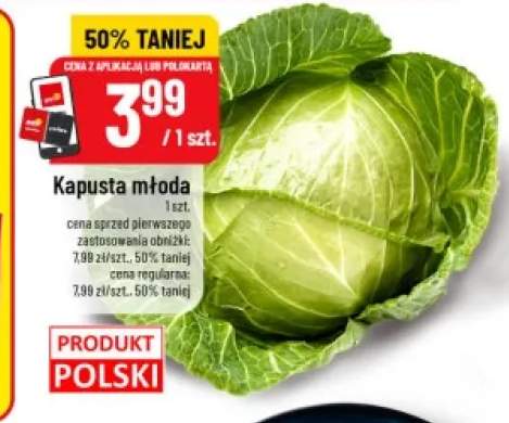 Kapusta młoda