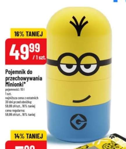 Pojemnik do przechowywania Minionki 10l