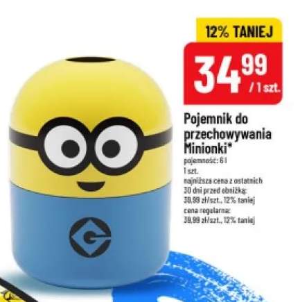Pojemnik do przechowywania Minionki 6l