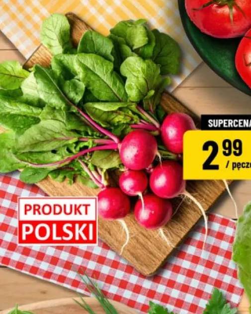 Rzodkiewki polskie