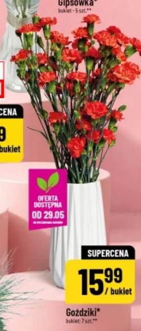Goździki