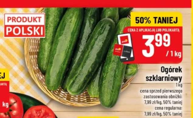 Ogórek szklarniowy polski
