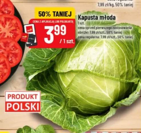 Kapusta młoda polska