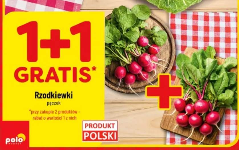Rzodkiewki polskie