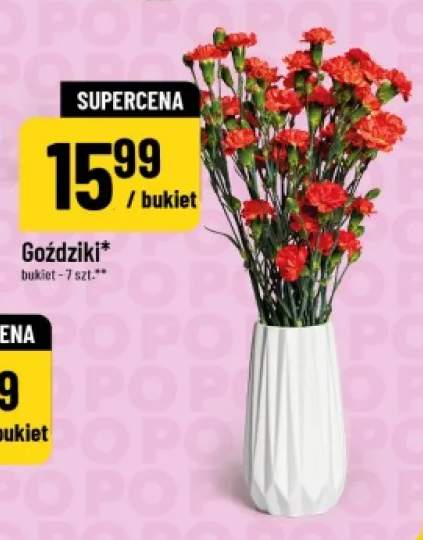 Goździki