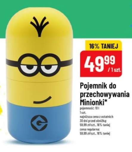 Pojemnik do przechowywania Minionki 10l