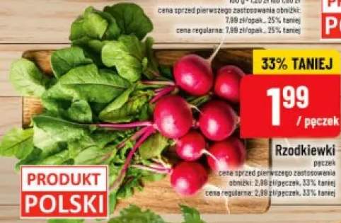 Rzodkiewki polskie