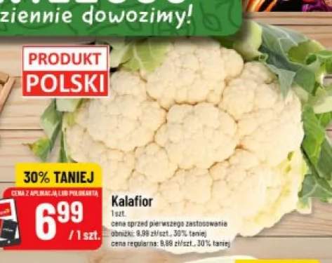 Kalafior polski