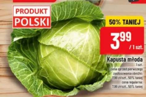 Kapusta młoda polska