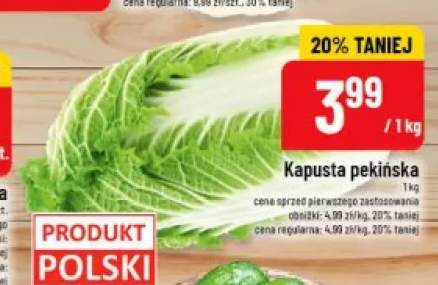 Kapusta pekińska polska