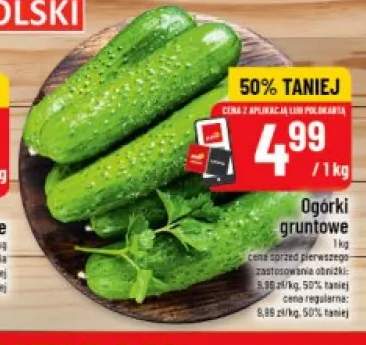 Ogórki gruntowe