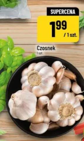 Czosnek