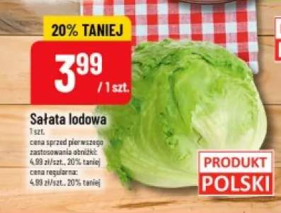 Sałata lodowa polska