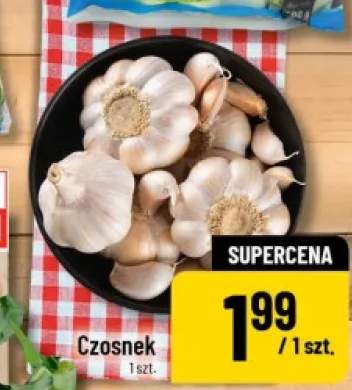 Czosnek