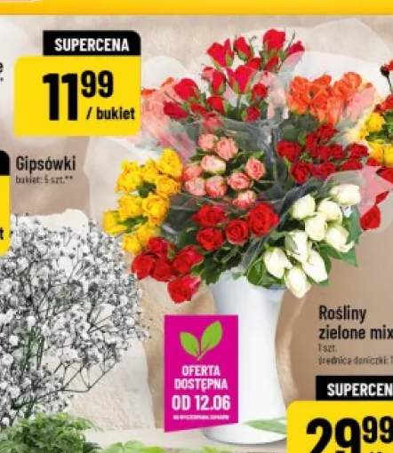Róże bukiet 9-pak