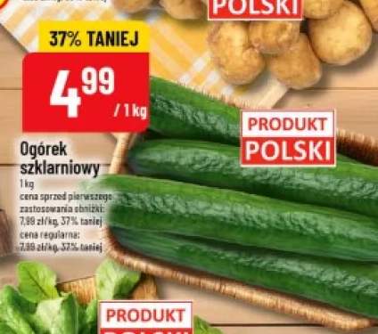 Ogórek szklarniowy polski