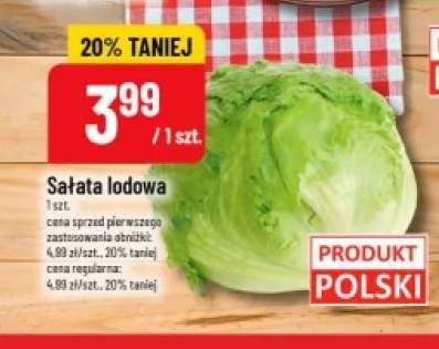 Sałata lodowa polska